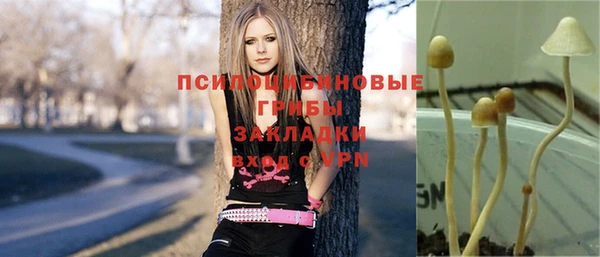 гашик Дмитриев