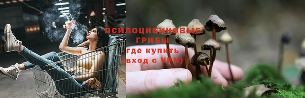 MDMA Заводоуковск