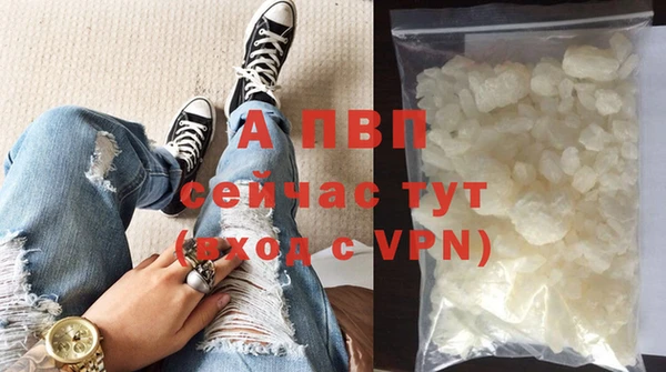 гашик Дмитриев
