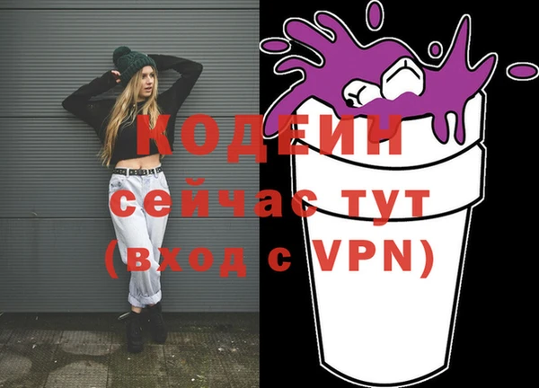 гашик Дмитриев