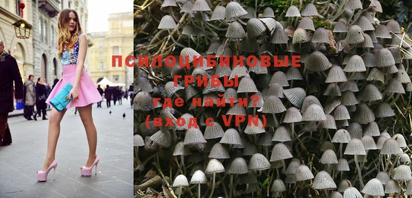 дживик Балахна