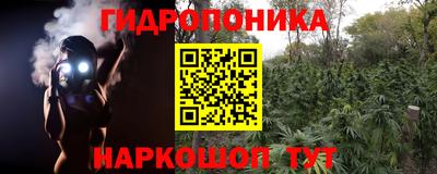хмурый Нальчик