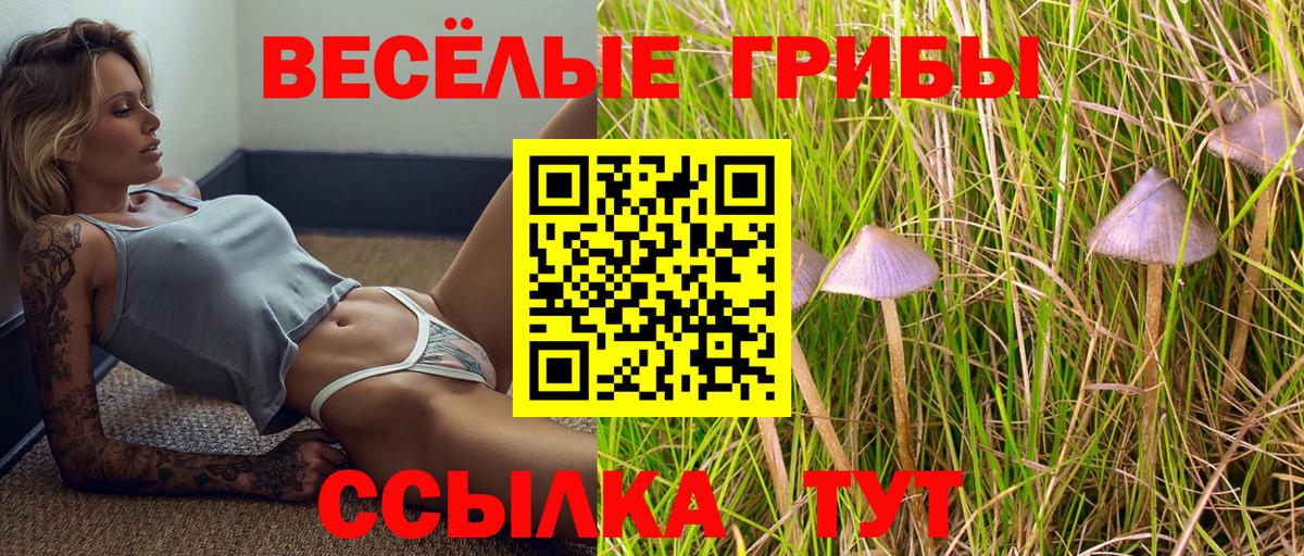 Сафоново  Псилоцибиновые грибы GOLDEN TEACHER  Псилоцибиновые грибы MAGIC MUSHROOMS  Вход с VPN 